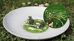 Il superfood Piemontese tipico della primavera: alla scoperta del Luvertin