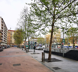 La piazza si fa più bella e green con i nuovi platani nell’area mercatale 
