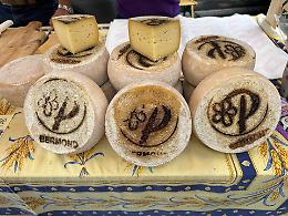 Il Plaisentif: il raro e prelibato "Formaggio delle viole" celebrato a Perosa Argentina