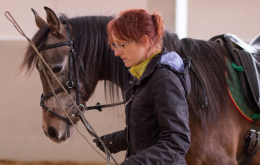 «Non mi lascia andare a cavallo»: papà condannato dopo l'accusa della figlia
