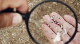 La nostra pelle assorbe sostanze tossiche dalle microplastiche: lo studio rivoluzionario dell'Università di Birmingham