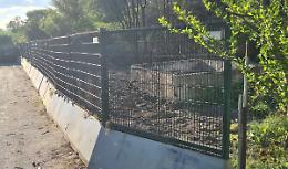 Strada Dorera, ripulita l'area utilizzata come discarica