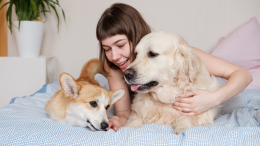 Piante Pet-Friendly: ecco come rendere la propria casa un ambiente sicuro per  gli amici a quattro zampe