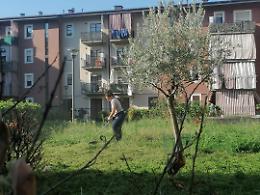 Riqualificare gli spazi comuni, Atc lancia l'iniziativa "Il giardino più bello"