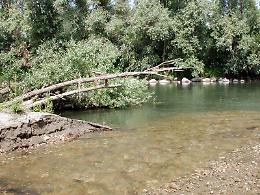 Via alla riqualificazione e alla riforestazione della riserva naturale