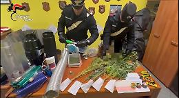 Nasconde in casa una serra di marijuana: denunciato un 34enne