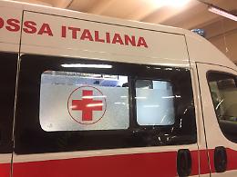 Incidente mortale, un anziano e il suo barboncino travolti e uccisi mentre attraversano la strada
