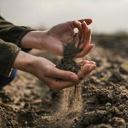 "Mercato della Terra e delle Biodiversità": San Giorgio Canavese si prepara a tre giornate di eventi