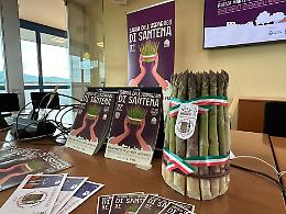 Fiera dell'Asparago a Santena: tradizione, cultura e gastronomia in mostra