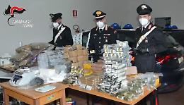 Droga, arresti a Torino e in Albania: maxi-operazione dei carabinieri