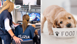 Ordina un computer e gli arriva del cibo per cani. Due corrieri e la fidanzata nei guai 