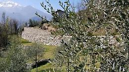 La 3ª edizione della Sagra dell’Olio Valsusa a Borgone: un evento imperdibile per gli amanti dell'olio d'oliva
