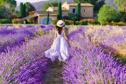 Il Ferragosto? Profuma di lavanda