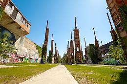 Movement Entertainment dona un nuovo roseto al Parco Dora