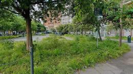 Allarme erba alta, così la piazza della metro sembra una giungla