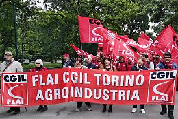Si ferma pure la “Gufo Bianco”, operai senza stipendio da mesi