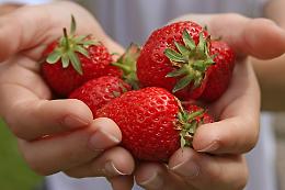 Fragole, asparagi, vino, cipolle e tanto altro tra le fiere e le sagre del fine settimana 