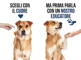 Qual è il cane adatto a te?  La campagna Apnec e Oipa per una scelta consapevole