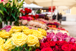 Vinadio in fiore: una celebrazione della primavera tra cultura e artigianato