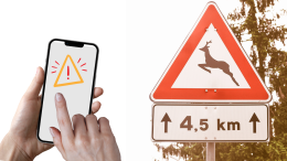 SPIA: un'App per prevenire gli incidenti stradali causati da animali selvatici