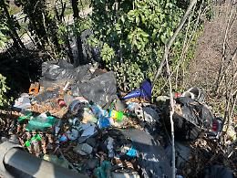 Arbusti, insetti e discariche: maxi pulizie sotto al ponte