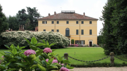 Alla scoperta delle ortensie a Pinerolo: un viaggio tra botanica e storia
