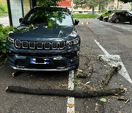 Un grosso tronco cade sopra una Jeep: «E se avesse colpito un bambino?»