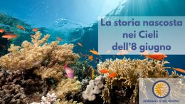 Azioni pratiche per difendere i mari nella giornata dell’8 giugno