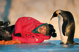 &laquo;Eravamo in mezzo al nulla e i pinguini sono venuti da noi&raquo;