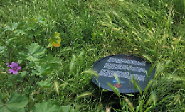 Vandali all'assalto: ancora una targa commemorativa distrutta in città