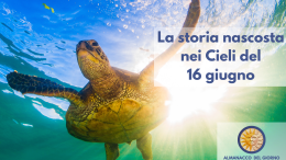 Proteggiamo le tartarughe marine: azioni concrete per la Giornata mondiale del 16 giugno