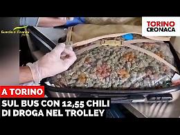 Così il cane Maya ha trovato droga per 160mila euro