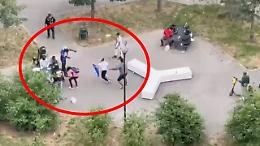 Rissa a bottigliate nel giardino di periferia: e la gente scappa