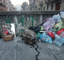 Torino, sgozzano un montone e lo abbandonano su un marciapiede