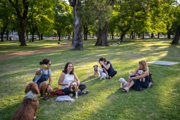 ZAMPAFEST: un evento a tutta zampa al Parco dei Laghetti Falchera!