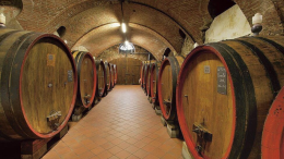 Vino, cambiano le regole per la produzione di Barolo e Barbaresco per tutelarne la qualità  