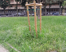 Erba alta e degrado nella piazzetta che ospitava la fontana di vetro