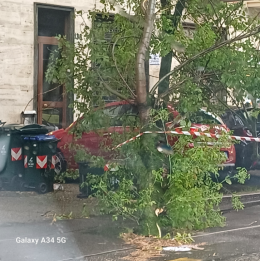 Tromba d'aria a Torino: alberi caduti anche in corso Belgio
