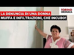 Umidità e muffa nella casa Atc: «Vivo in questa condizione da 4 mesi» - IL VIDEO
