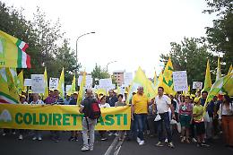 Trattori, cartelli e clacson sotto alla Regione: "Basta cinghiali, siamo disperati"