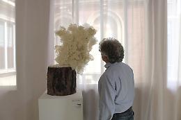 Galaverna: quella scultura nata dalla brina