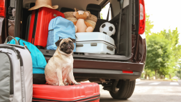 Il nuovo trend dell'estate: vacanze pet-friendly