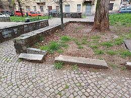 Sanpietrini ko ed erba alta, ecco le criticità del giardino
