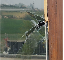 Ladri entrano in casa della pittrice: «Ecco come li ho scoperti...»