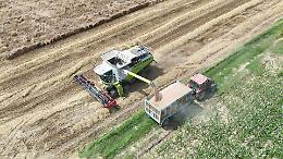Agricoltura in ginocchio: tra grandine, pioggia e bombe d'acqua  in fumo 5 milioni di euro