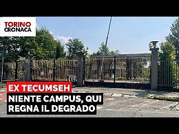 Il nuovo campus resta un sogno, alla Tecumseh regna il degrado - IL VIDEO