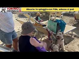 In spiaggia con Fido? Adesso si può, ecco dove
