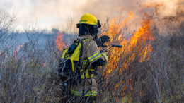 L'intelligenza artificiale contro gli incendi boschivi. Ecco come li "becca" in tempo reale