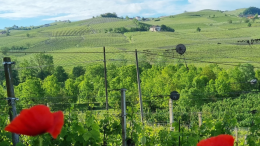 Torino si tinge di rosso: degustazioni, cocktail e musica ai Murazzi del Po 