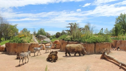 Da Cumiana al Veneto: il Bioparco Zoom si espande e acquisisce il Parco Natura Viva 